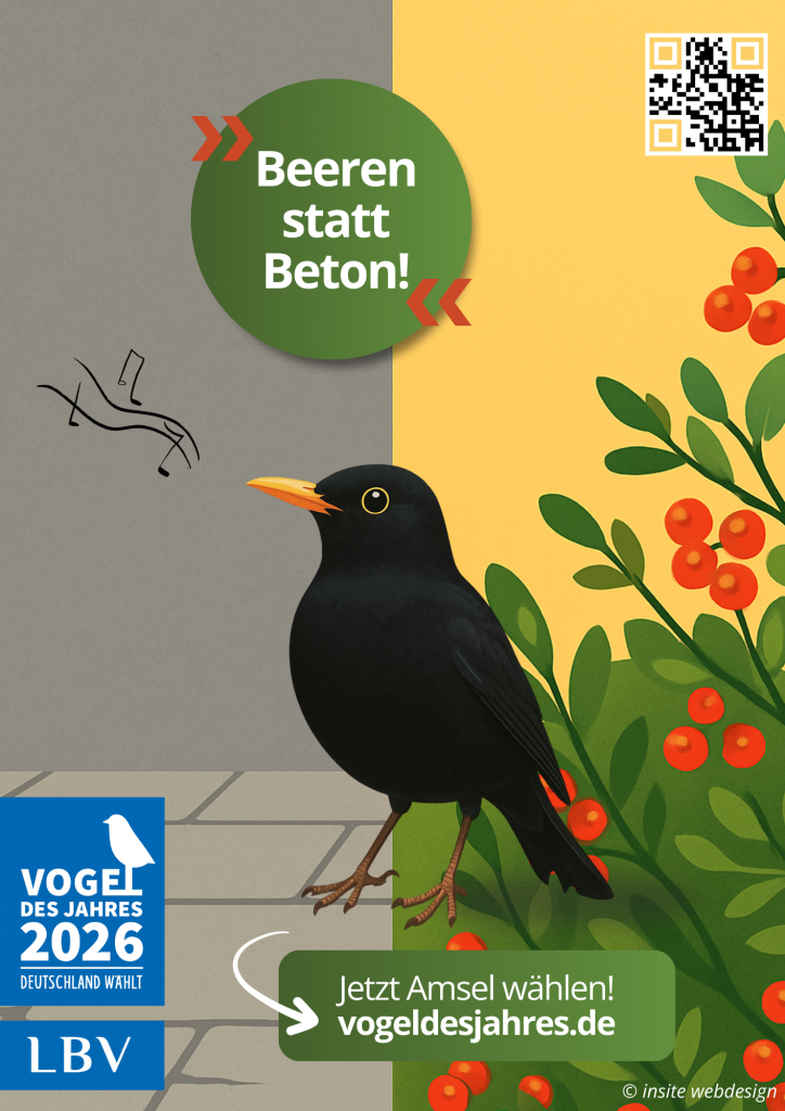 Plakatgestaltung für Vogel des Jahres – kreatives Printdesign