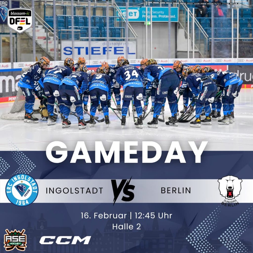 Website für ERCI Frauen Ingolstadt – modernes Webdesign für einen Sportverein